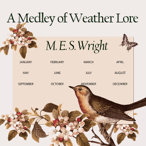 medley_wheather_lore_mes_wright_2103.jpg